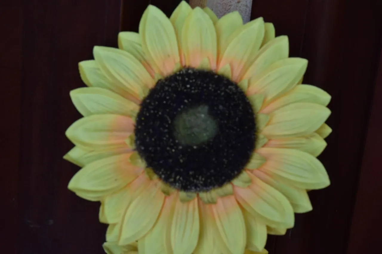 B&B Il Girasole Assemini Italy